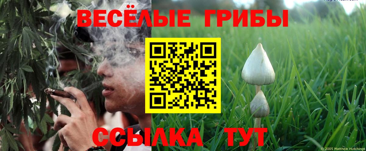 Псилоцибиновые грибы MAGIC MUSHROOMS  Псилоцибиновые грибы Psilocybine cubensis  Вход с VPN  Миллерово 